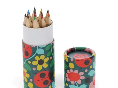 Ladybird Tube of Colouring Pencils Online Sale