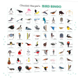 Charley Harper s Bird Bingo Supply