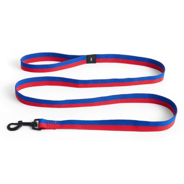 Dog Leash - Flat Sale