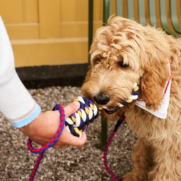 Dog Rope Toy Online now