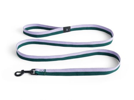 Dog Leash - Flat Sale