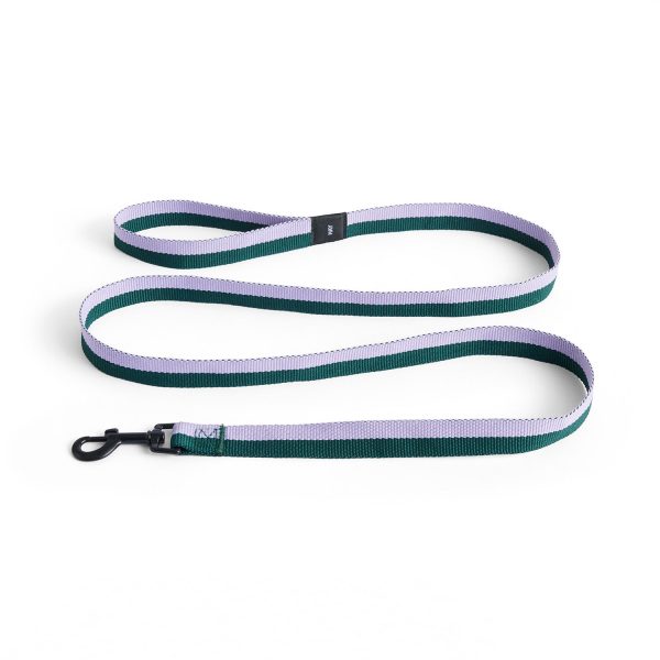 Dog Leash - Flat Sale