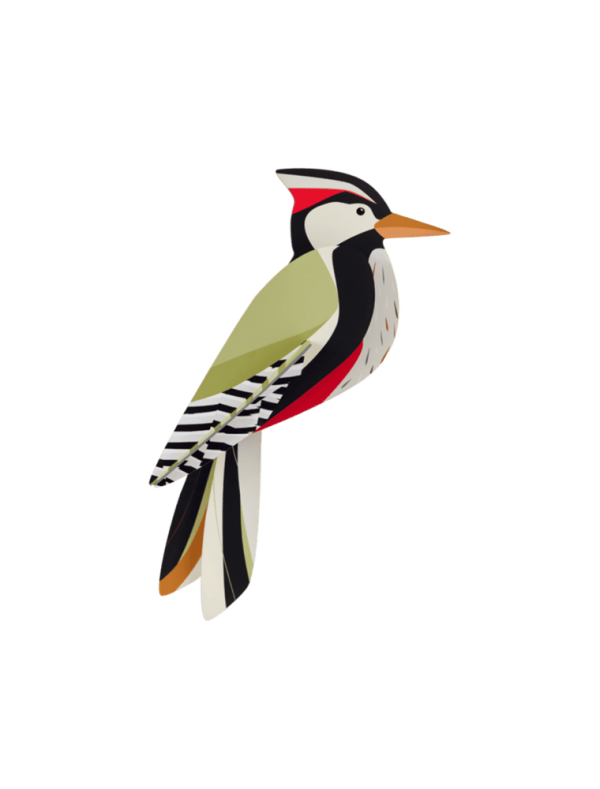 Woodpecker Wall Art Online