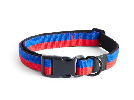 Dog Collar - M L Hot on Sale