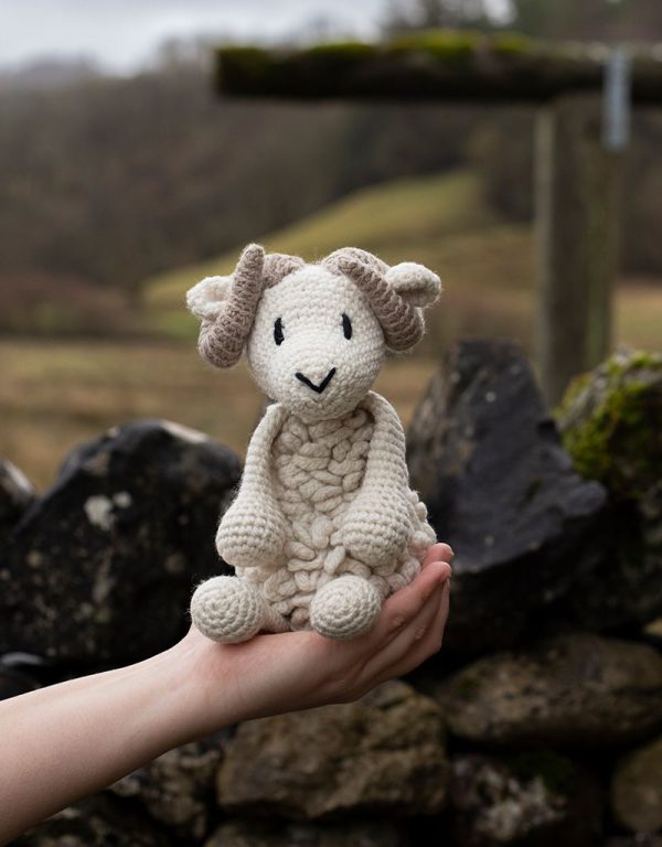 Bryn the Welsh Mountain Sheep Kit Online Sale