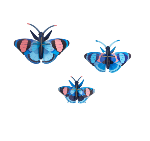 Studio Roof Peacock Butterflies For Discount